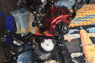 IV Open Fotosub Telde en aguas de Taliarte y Tufia (Foto TA)